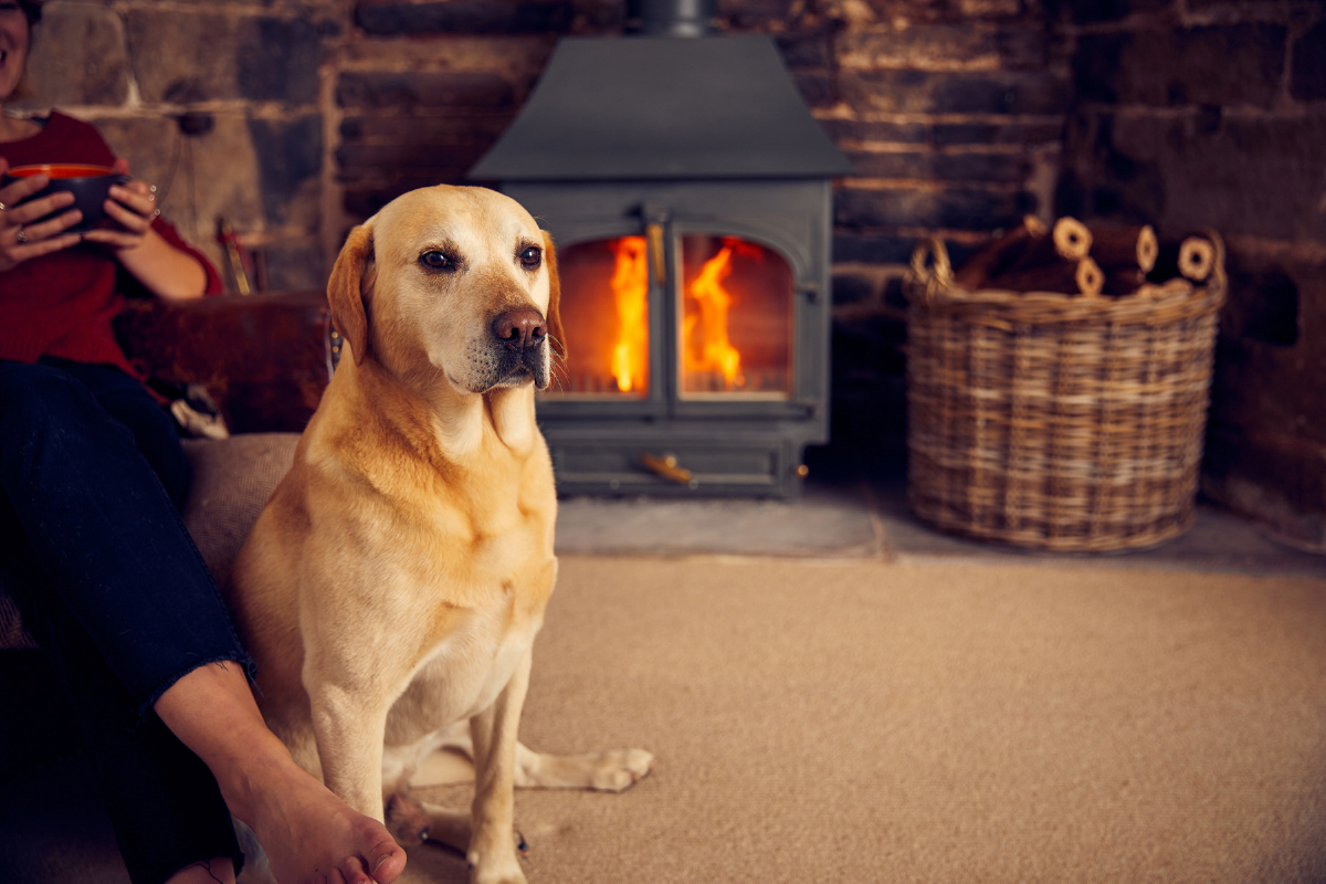 Save 10 off everything at Wood Fuel Direct and enjoy free delivery