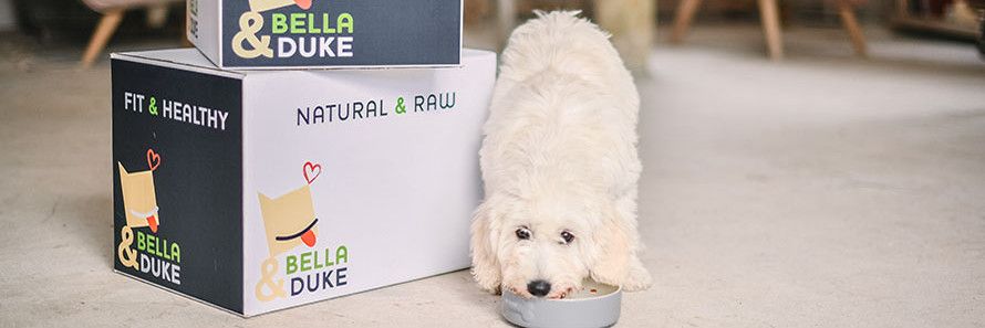 WIN a 4kg Box of Bella & Duke Natural Raw Dog Food from