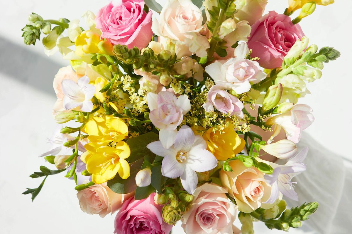 Bloom And Wild Nhs Discount Code at Jennifer Phillips blog